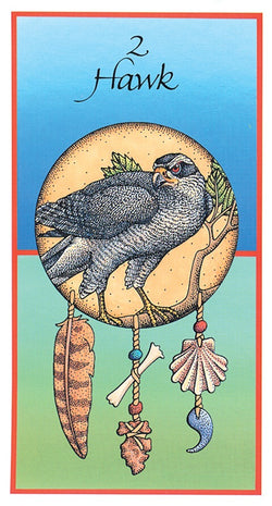 Medicine Cards Tarot Deck & Book