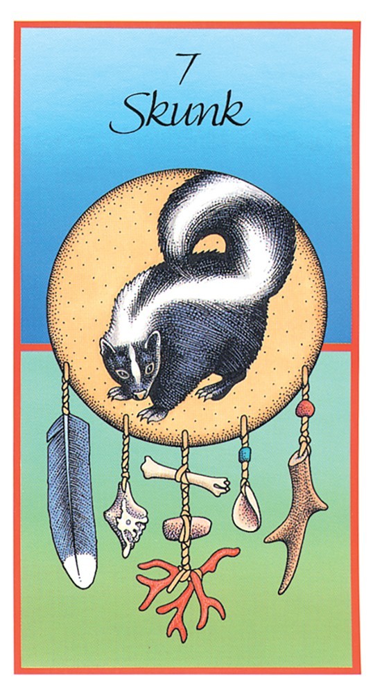 Medicine Cards Tarot Deck & Book