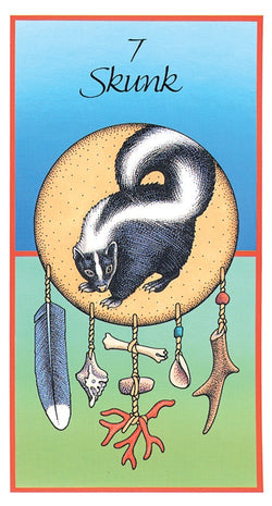 Medicine Cards Tarot Deck & Book