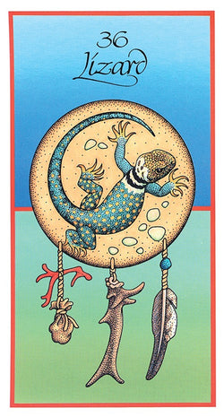 Medicine Cards Tarot Deck & Book
