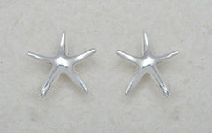 Starfish Posts