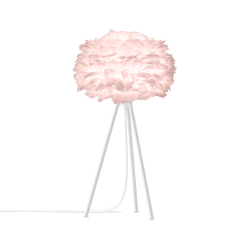 Eos 20