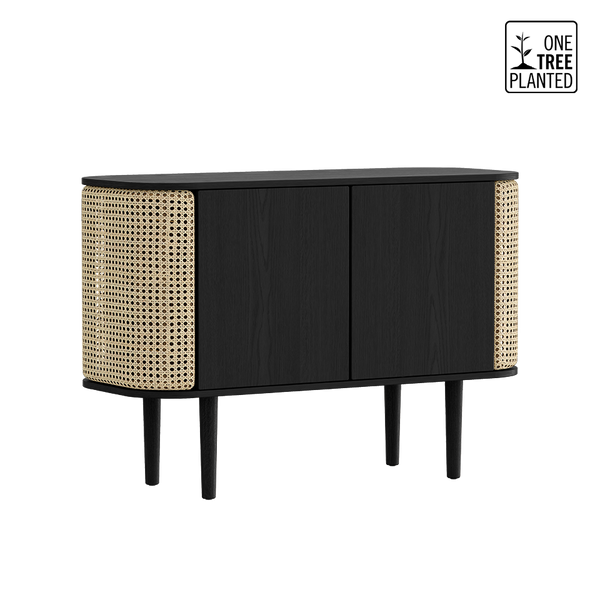 Treasures 2-Door Cabinet in Black Oak and French Cane Doors