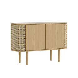 Treasures 2-Door Cabinet in Oak and French Cane Doors, French Cane