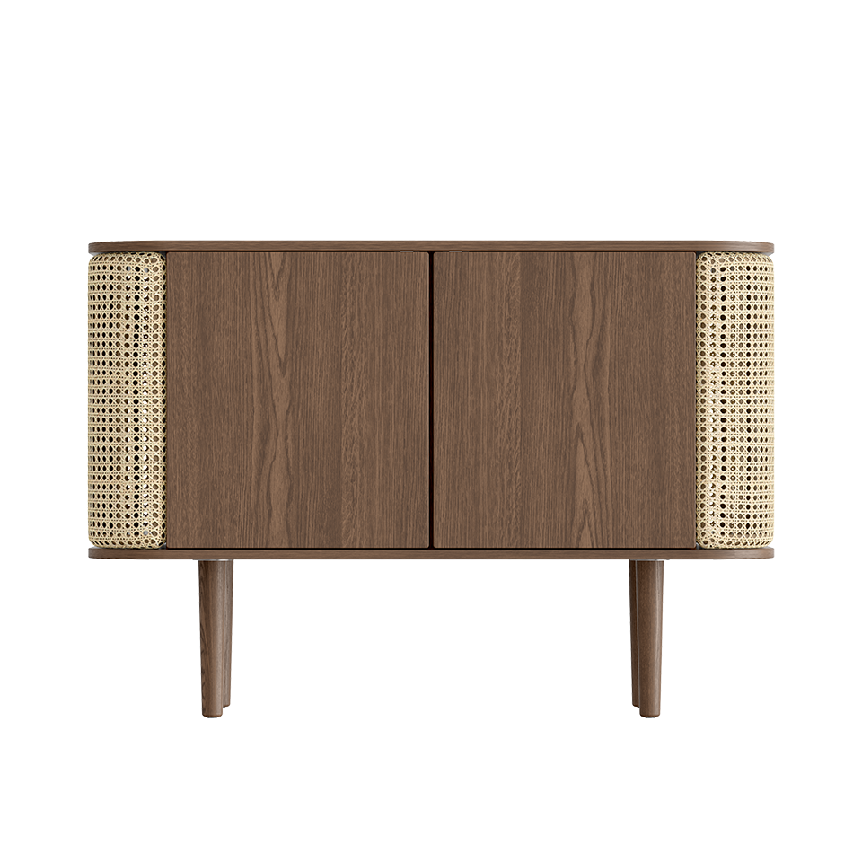 Treasures 2-Door Cabinet in Dark Oak and French Cane Doors