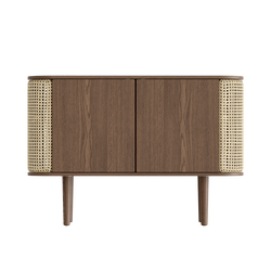 Treasures 2-Door Cabinet in Dark Oak and French Cane Doors