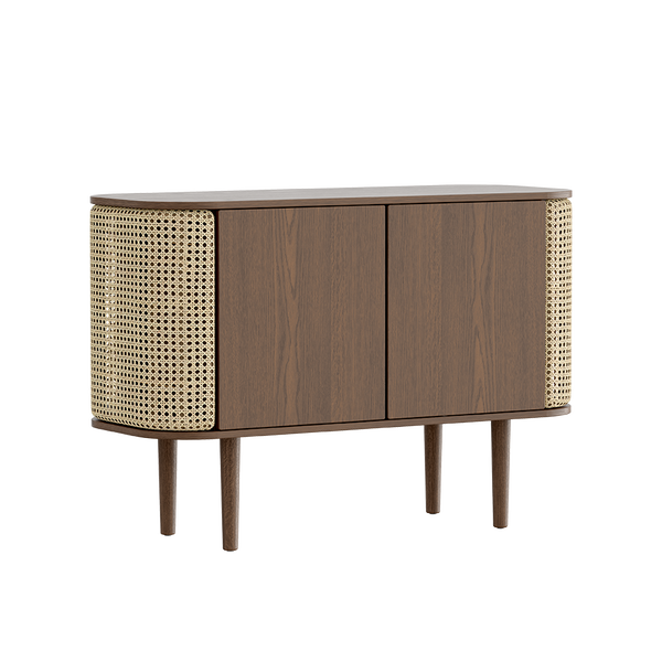 Treasures 2-Door Cabinet in Dark Oak and French Cane Doors