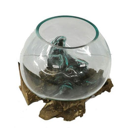 Driftwood With Glass Bowl, 6-8 inches