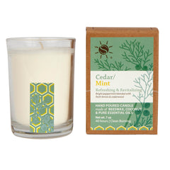 Cedar Mint Aromatherapy Filled Candle