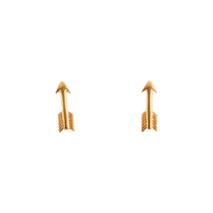 Small Arrow Earrings in Gold or Silver