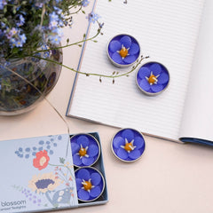 Forget Me Not Scented Tealights