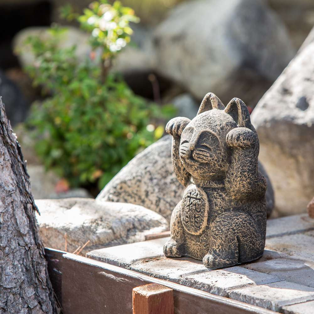Japanese Lucky Cat