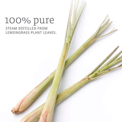 100% Pure Essential Oils (1/2oz) (Lemongrass) ORGANIC