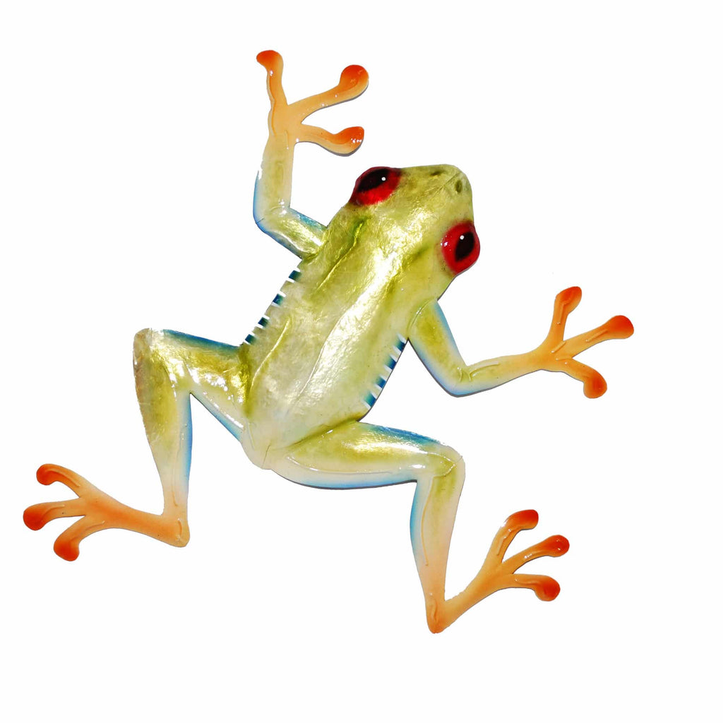 Red Eyed Tree Frog Wall Decor