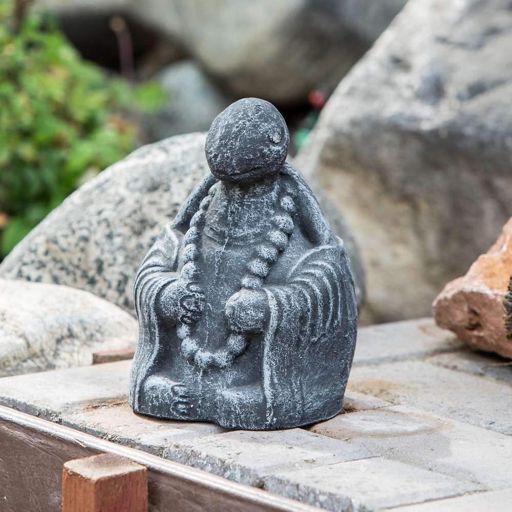 Meditating Turtle