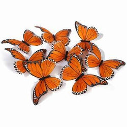 Monarch Butterfly Garlands