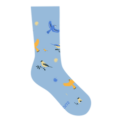 Socks that Protect Song Birds